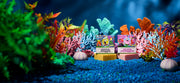 SpongeBob 4-Pack K6