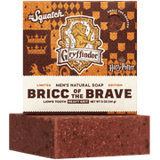 Bricc of the Brave L8