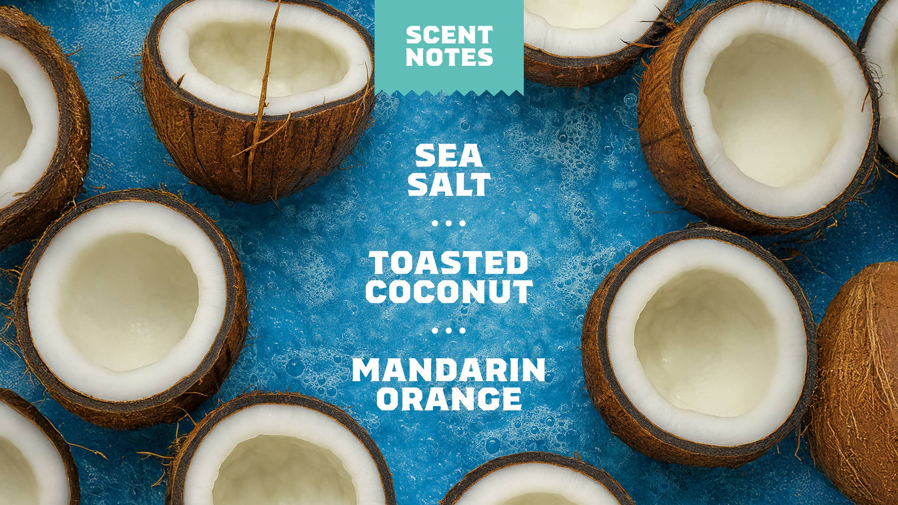 Coconut Castaway Lotion T7