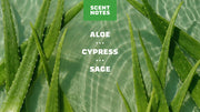 Cool Fresh Aloe Lotion A5