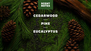 Pine Tar Lotion H7