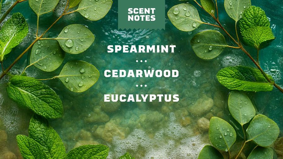 Rainforest Rapids Refreshing Face Wash P3