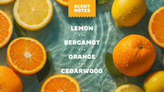 Summer Citrus Hand Soap L8