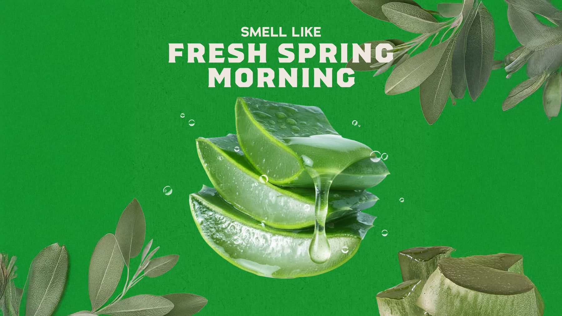 Cool Fresh Aloe Conditioner W6