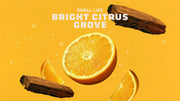 Summer Citrus Hand Soap L8